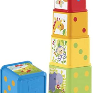 Fisher-Price Stack & Explore Blocks, Set of 5, Baby Stacking and Nesting Toys, for Infants Ages 6 Months and up