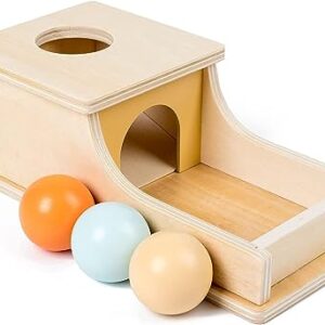 HENGYAN Edition Montessori Toys for Babies 6-12 Months Object Permanence Box Wooden Ball Drop Toy Play for 6 Month 1 2 3 Year Old Toddlers Infant Early Age Toy