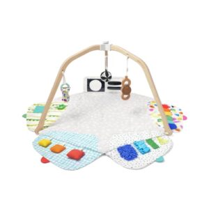 The Play Gym by Lovevery | Stage-Based Developmental Activity Gym & Play Mat for Baby to Toddler