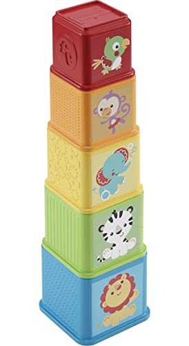 Fisher Price Stack Explore Blocks Set Of 5 Baby Stacking And Nesting Toys For Infants Ages 6 Months And Up 3