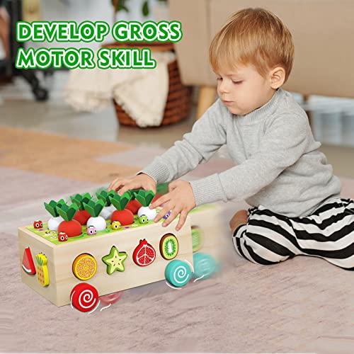 Pelosta Toddler Montessori Toys For Baby Boys Girls Age 2 3 4 5 Year Oldwooden Educational Toys Car With Carrot Harvestshape Sorting Gamebaby Sensory Toys Gifts For 1 2 3 Year Old Toddlerskids 3