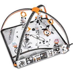 Tumama Baby Play Mats For Floor From Birthactivity Gym Play Mat Toy With Hanging Soft Learning Carpet Toy For Baby Boys And Girls